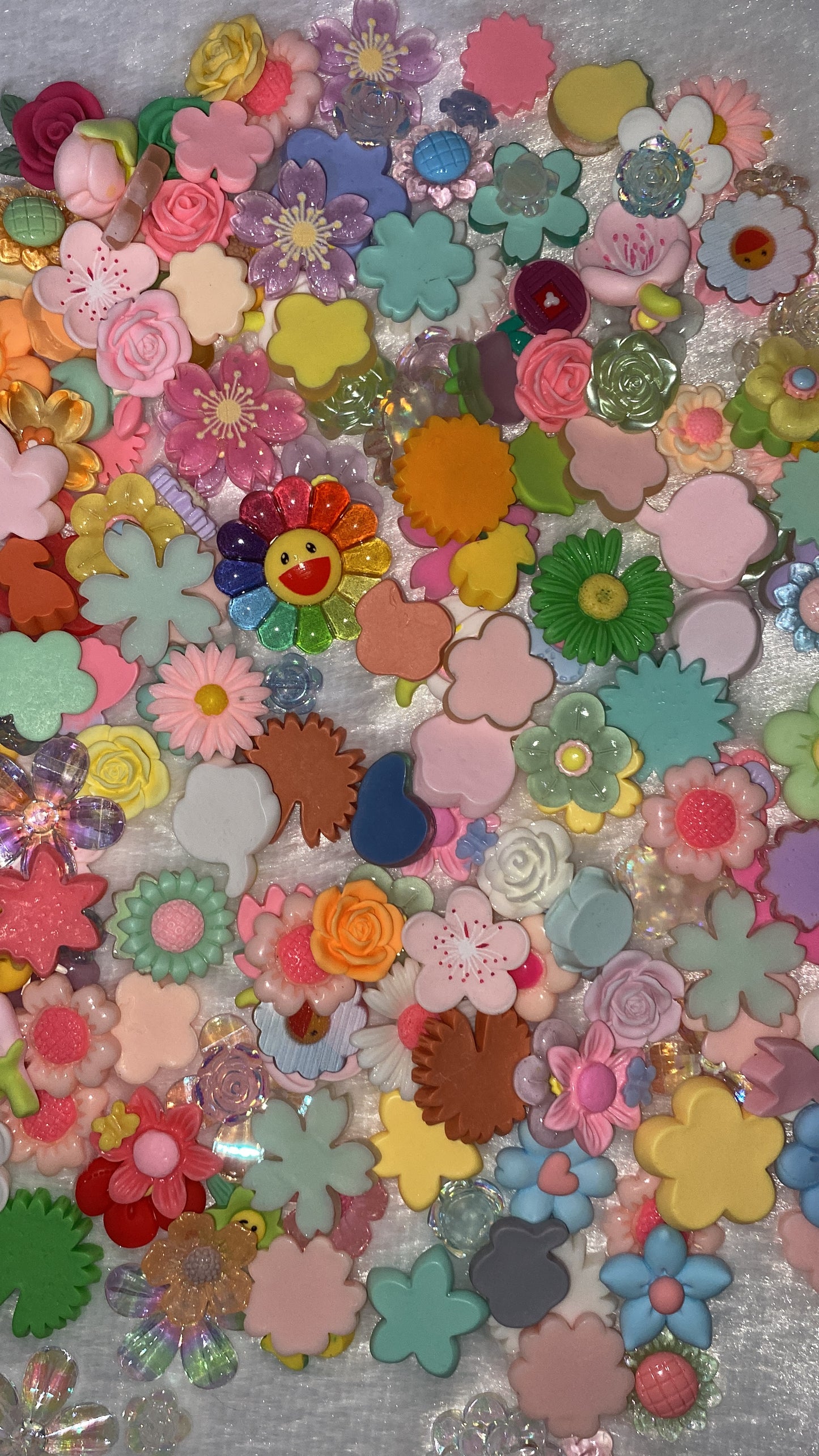 Flat Back Resin Charms